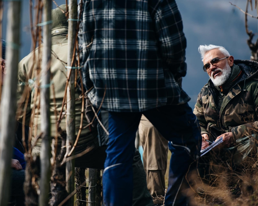Become a VINE PRUNER