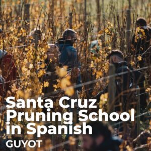 Santa Cruz Guyot Pruning School in Spanish