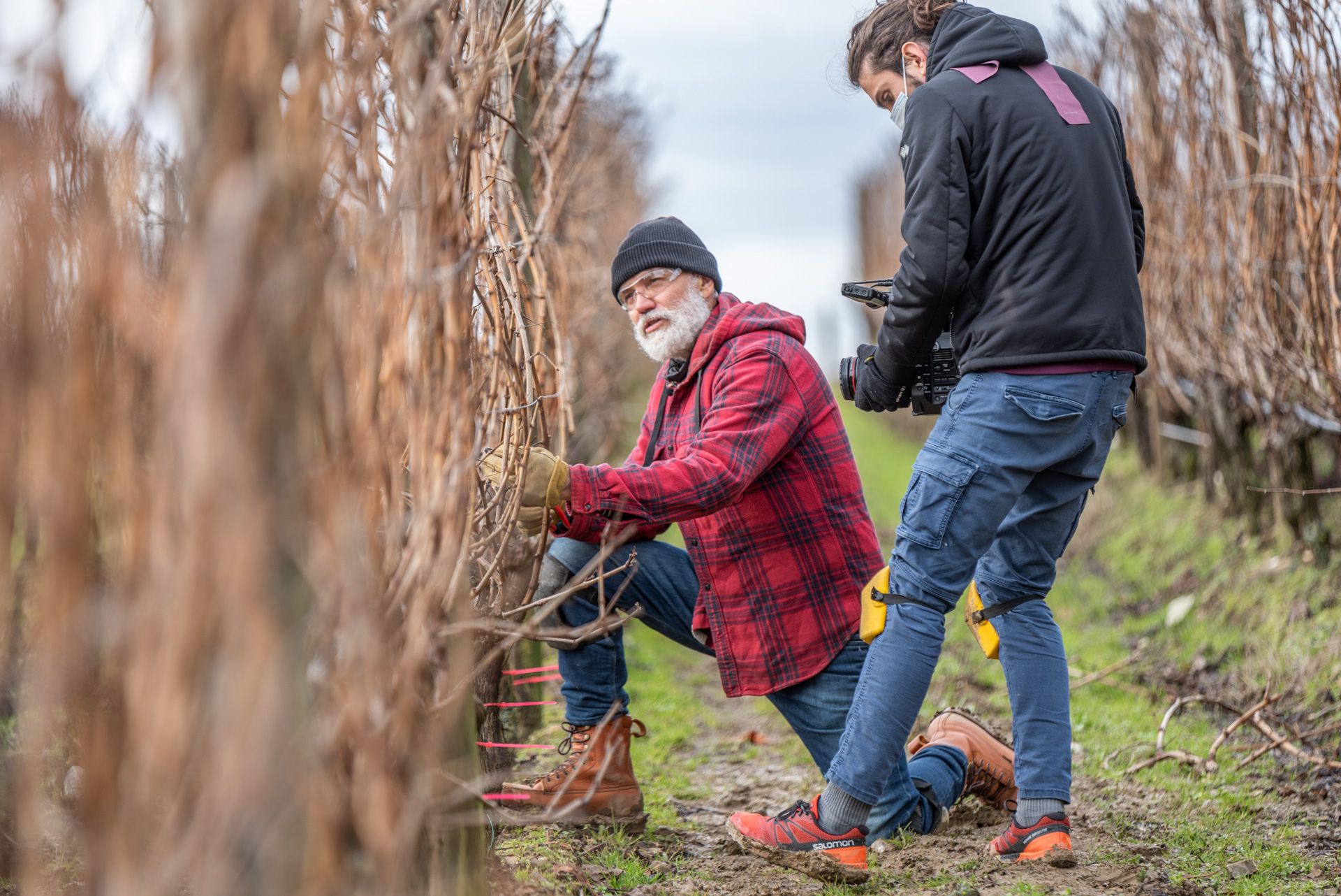 Express spur & cane pruning course with Marco Simonit
