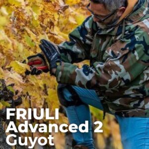 Scuola Potatura Vine Pruner Advanced 2 Guyot Simonit&Sirch