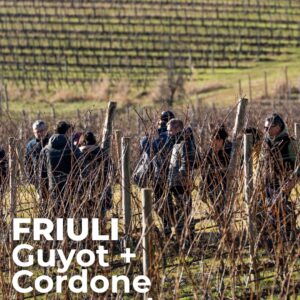 Friuli 2627 Scuola