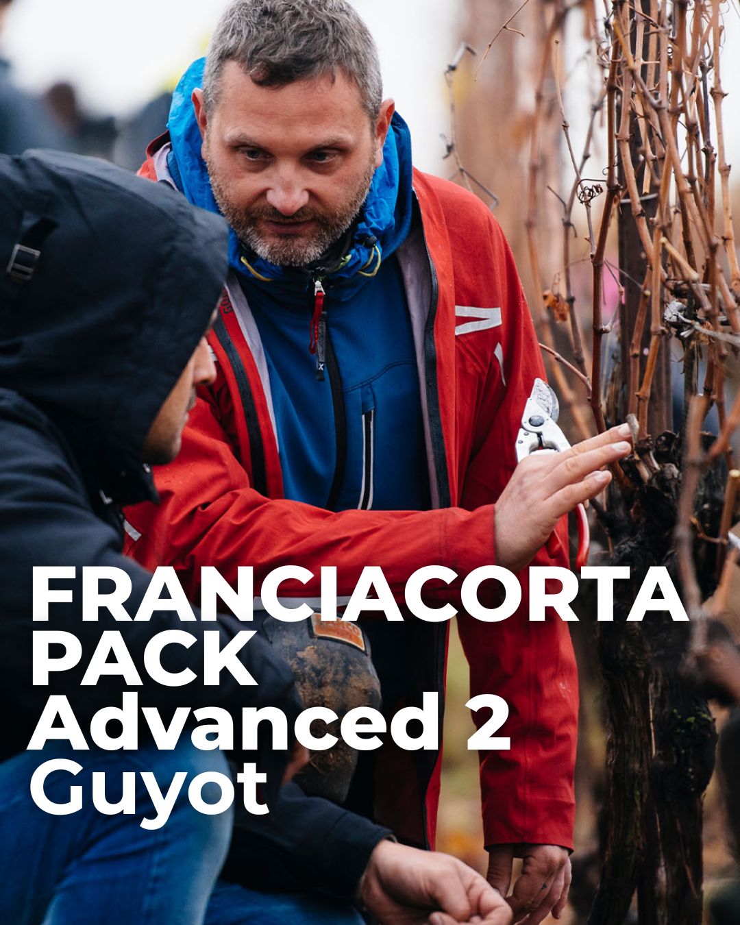 Pack Scuola Franciacorta Advanced 2 Guyot
