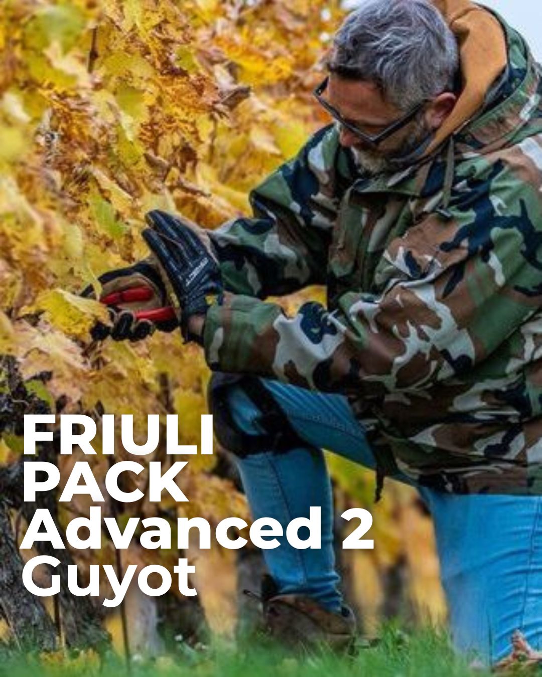 Pack Scuola Friuli Advanced 2 Guyot